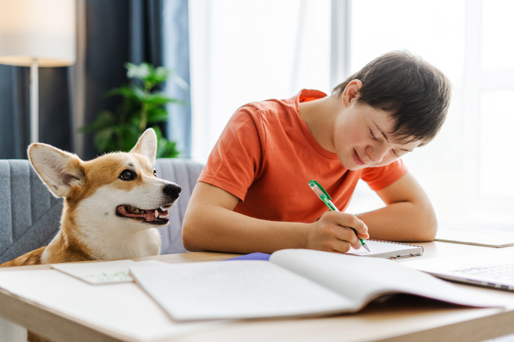 Teenage boy with Down syndrome doing homework at a table alongside his dog, symbolising inclusive education and support through NDIS programs.